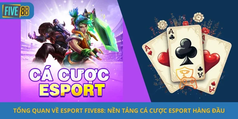 Tổng Quan Về Esport Five88: Nền Tảng Cá Cược Esport Hàng Đầu